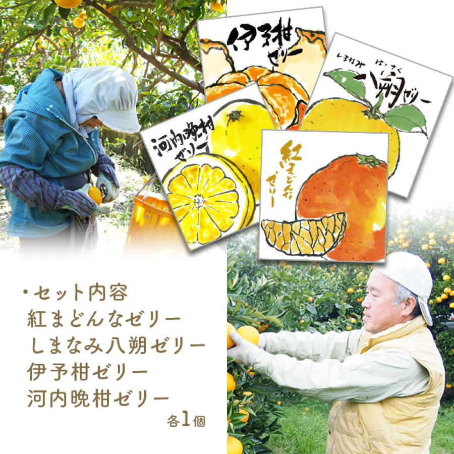 瀬戸内しまなみ柑橘物語 ゼリー4種 | テレビ朝日グループの通販サイト