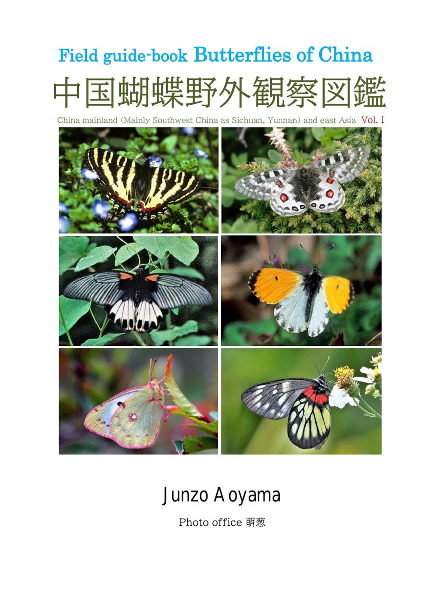 Field guide-book Butterflies of China (4-Volumes) | Roppon-Ashi