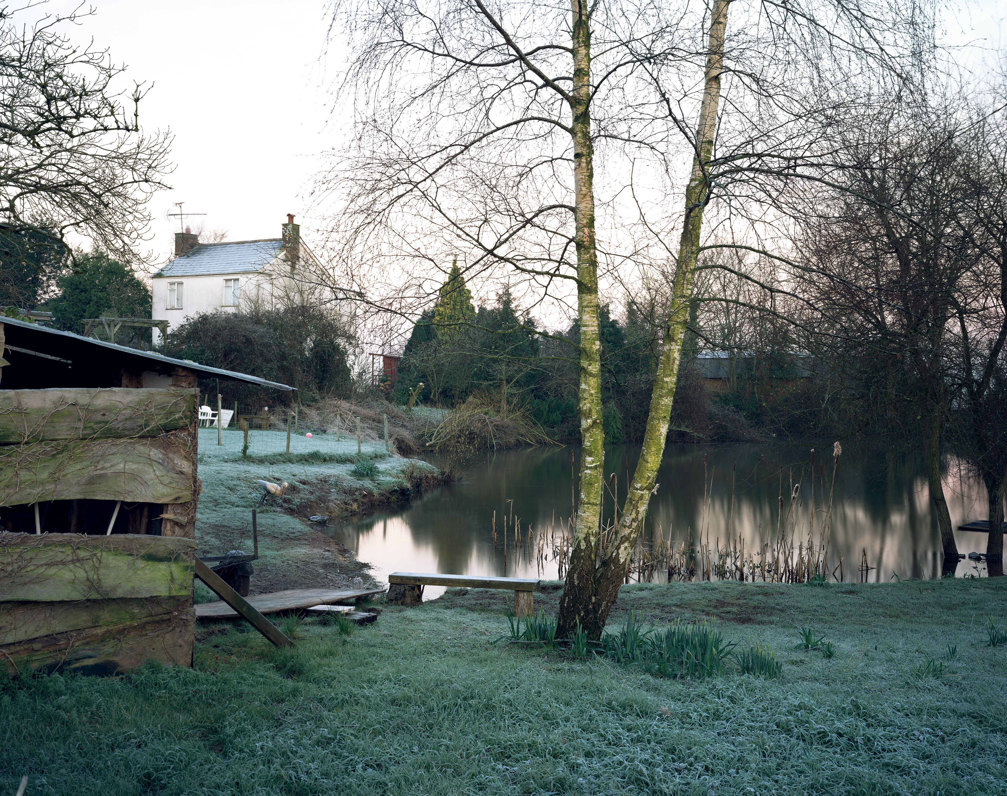 Jem Southam - The Pond At Upton Pyne