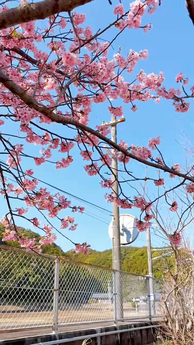 パンダくろしお」のYahoo!リアルタイム検索 - X（旧Twitter）を