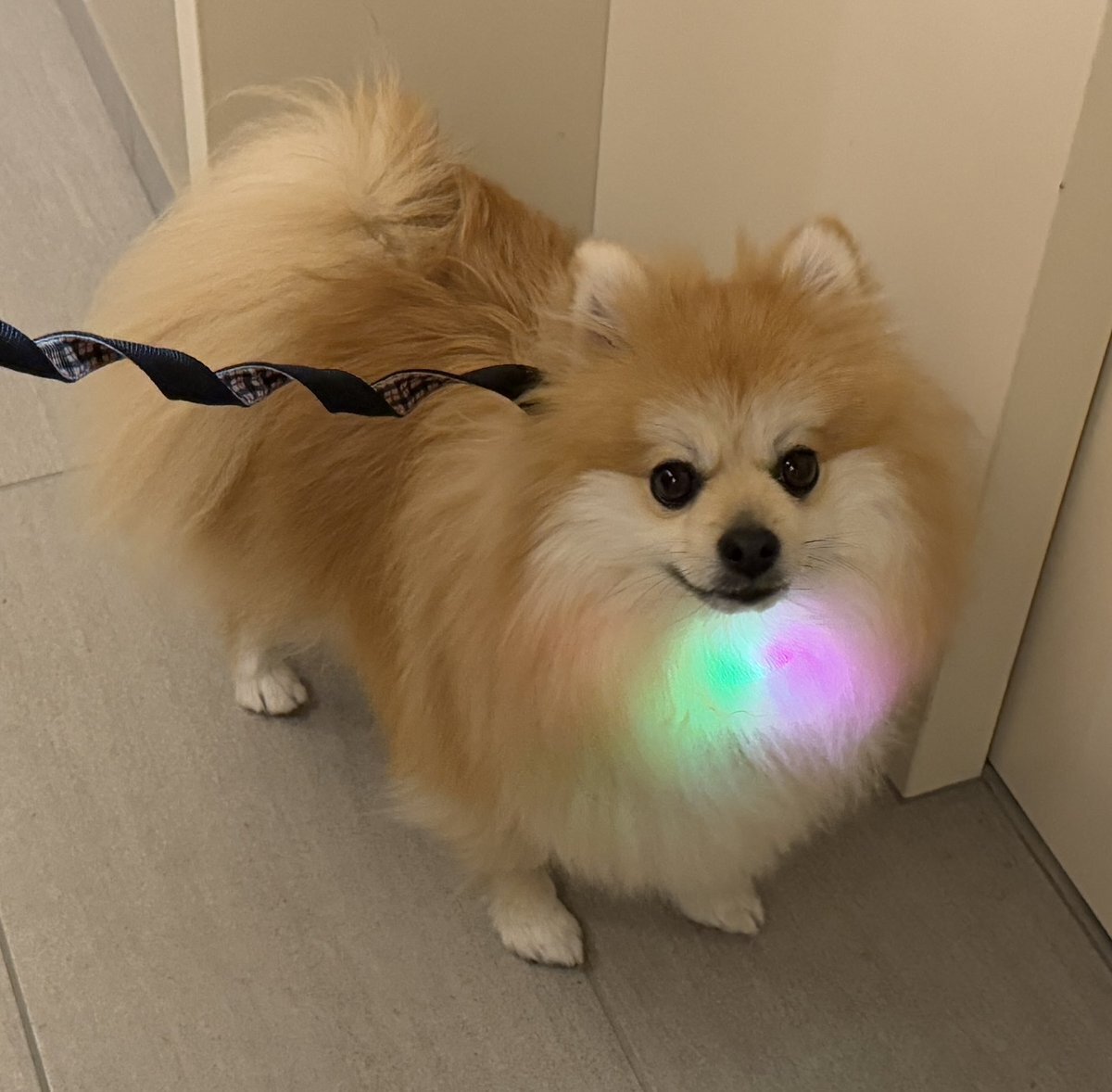 斉藤和義 せっちゃん」のYahoo!リアルタイム検索 - X（旧Twitter）を