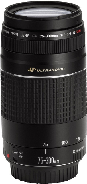 Canon EF 75-300mm f/4-5.6 iii Telephoto Zoom Lens - Canon