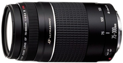 Canon EF 75-300mm f/4-5.6 iii Telephoto Zoom Lens - Canon