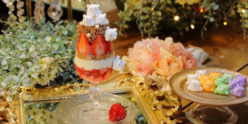 l_PG8Bl5II6eSWl8nL1r6X9nkZqJFI