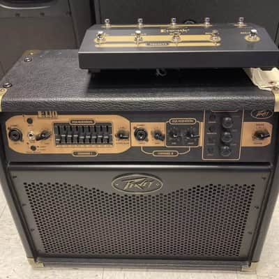 Peavey E110 Ecoustic 1x10