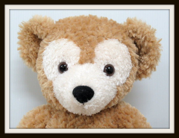 ダッフィー＆フレンズ初の夏イベント!ダッフィーのサニーファン紹介