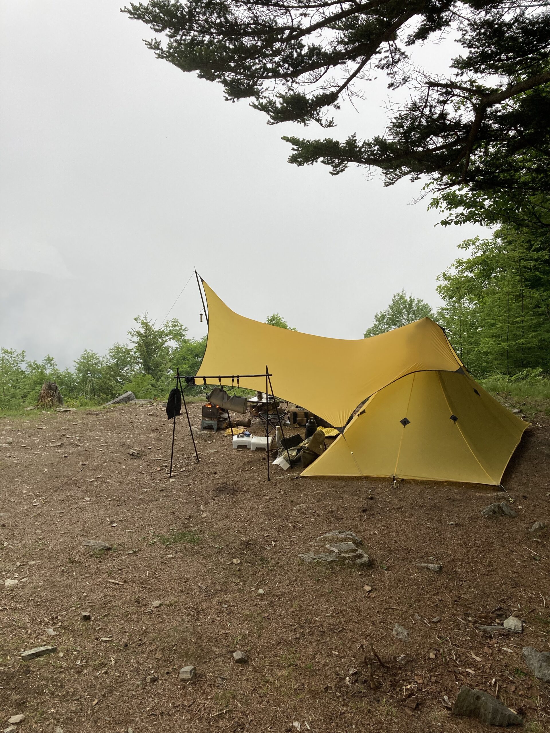 Rab silwing/ラブ シルウィング