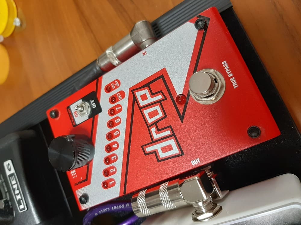 DIGITECH(デジテック) Dropを購入！Whammy Ricochetとの違いを比較解説