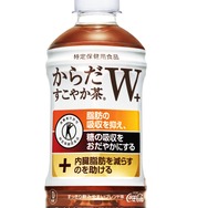 からだすこやか茶W 葬送のフリーレン 当選品 ヒンメル 葬送の