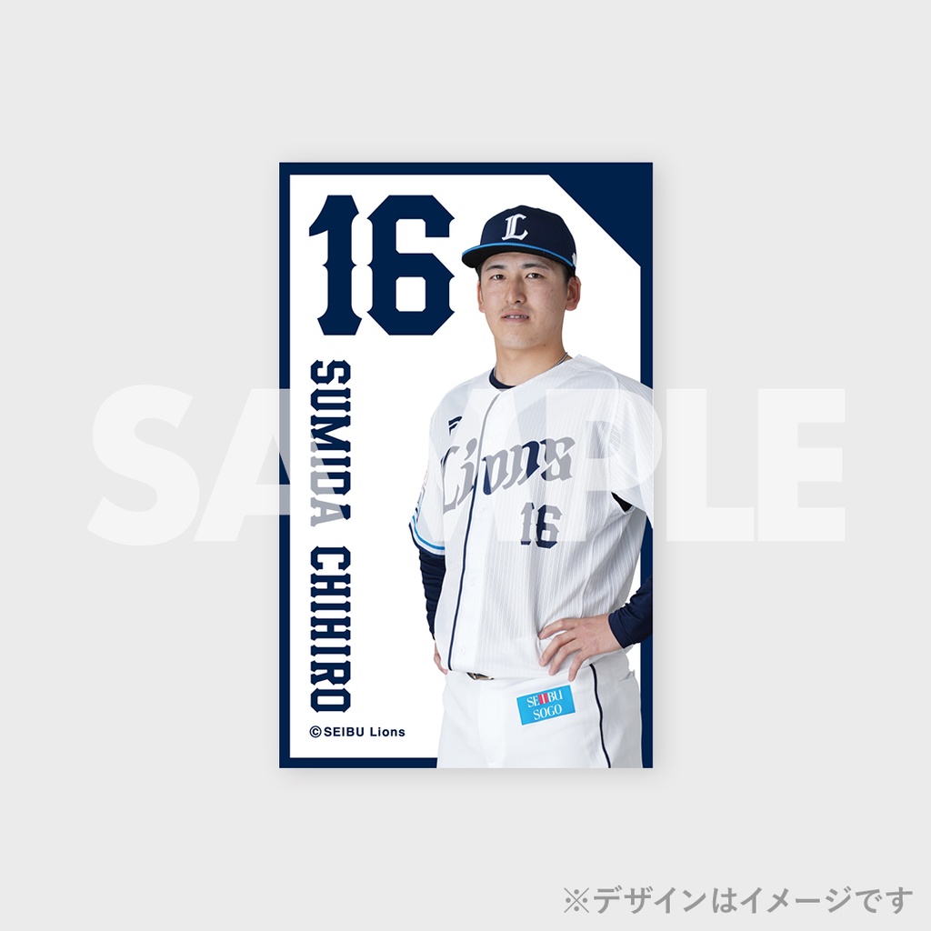 埼玉西武ライオンズ 2024SEASONラッフルくじ【投手】 | RAFFLE