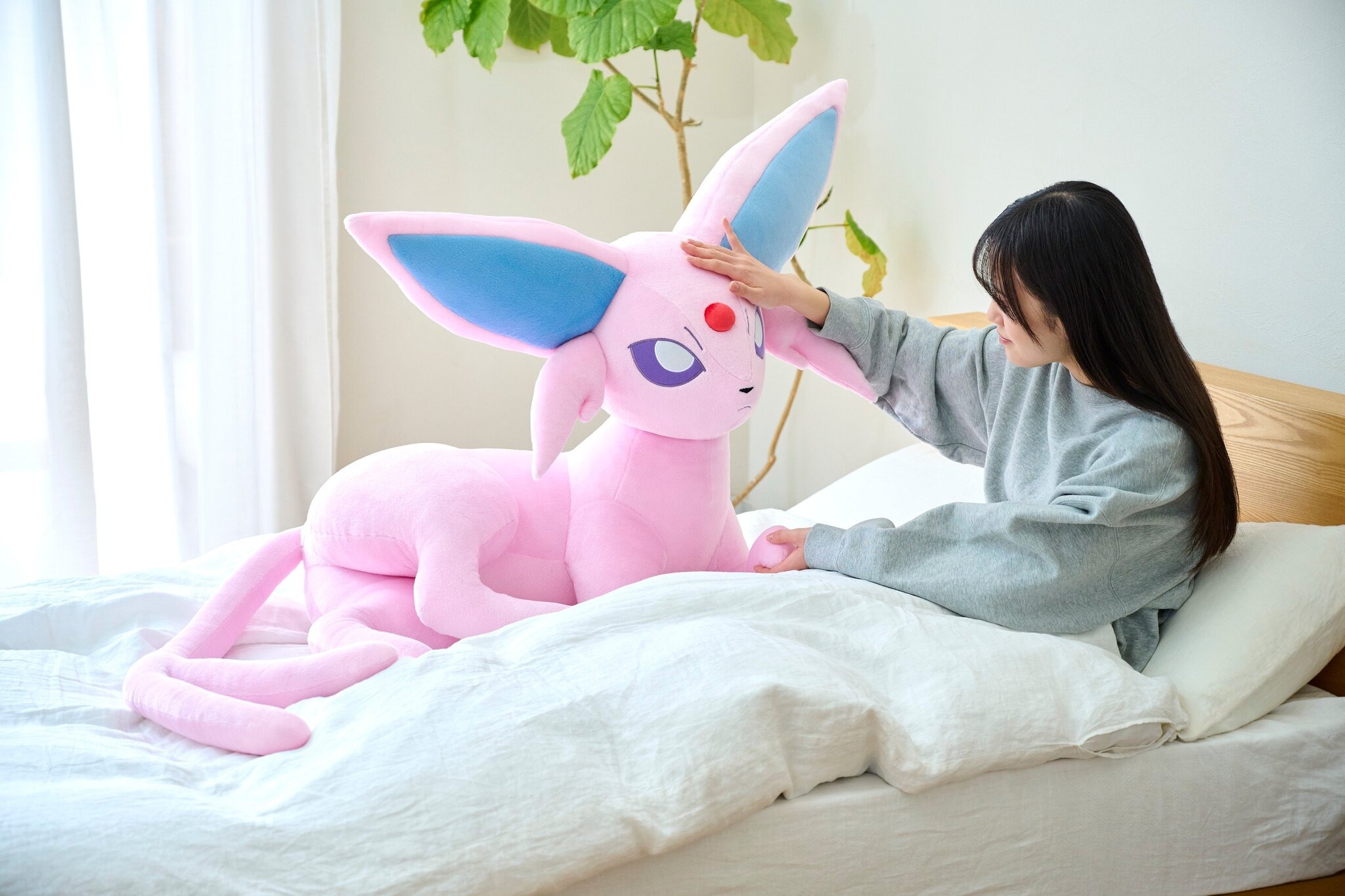 ポケモン』エーフィ、ブラッキーの等身大ぬいぐるみ予約は6月16日まで