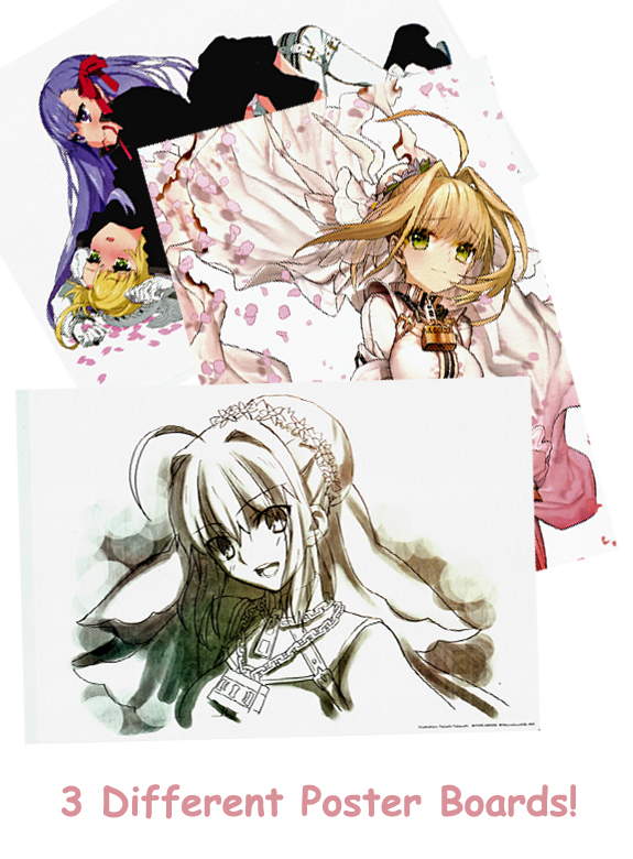 Fate/EXTRA CCC OP Animation Production Note Art Book Collector's