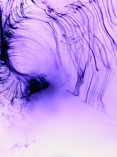 NOW IN PAPERBACK! Wolfgang Tillmans: Abstract Pictures