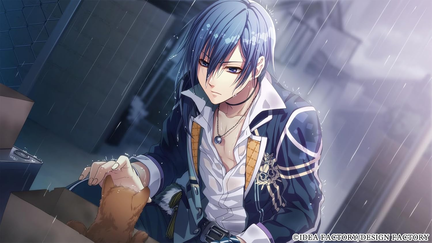 Glass Heart Princess for Nintendo Switch [Special Edition] for