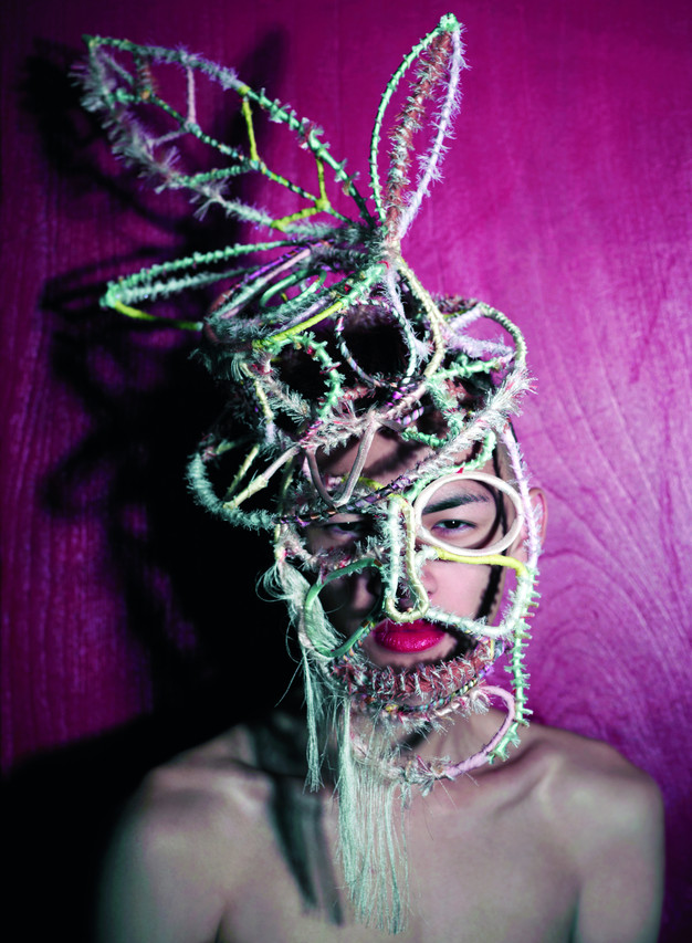 Photos: Work by Christophe Coppens - WSJ