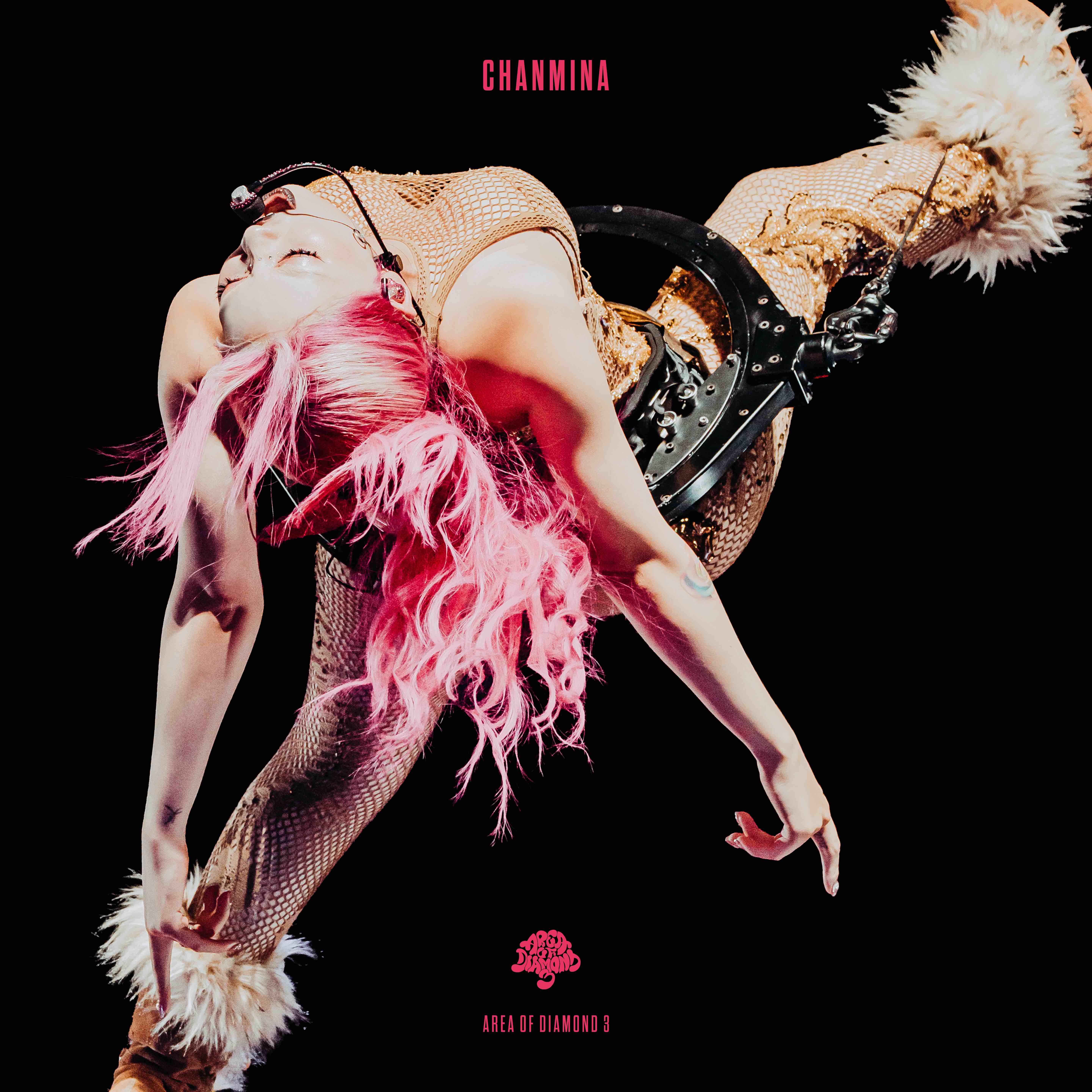 DVD｜CHANMINA OFFICIAL SITE