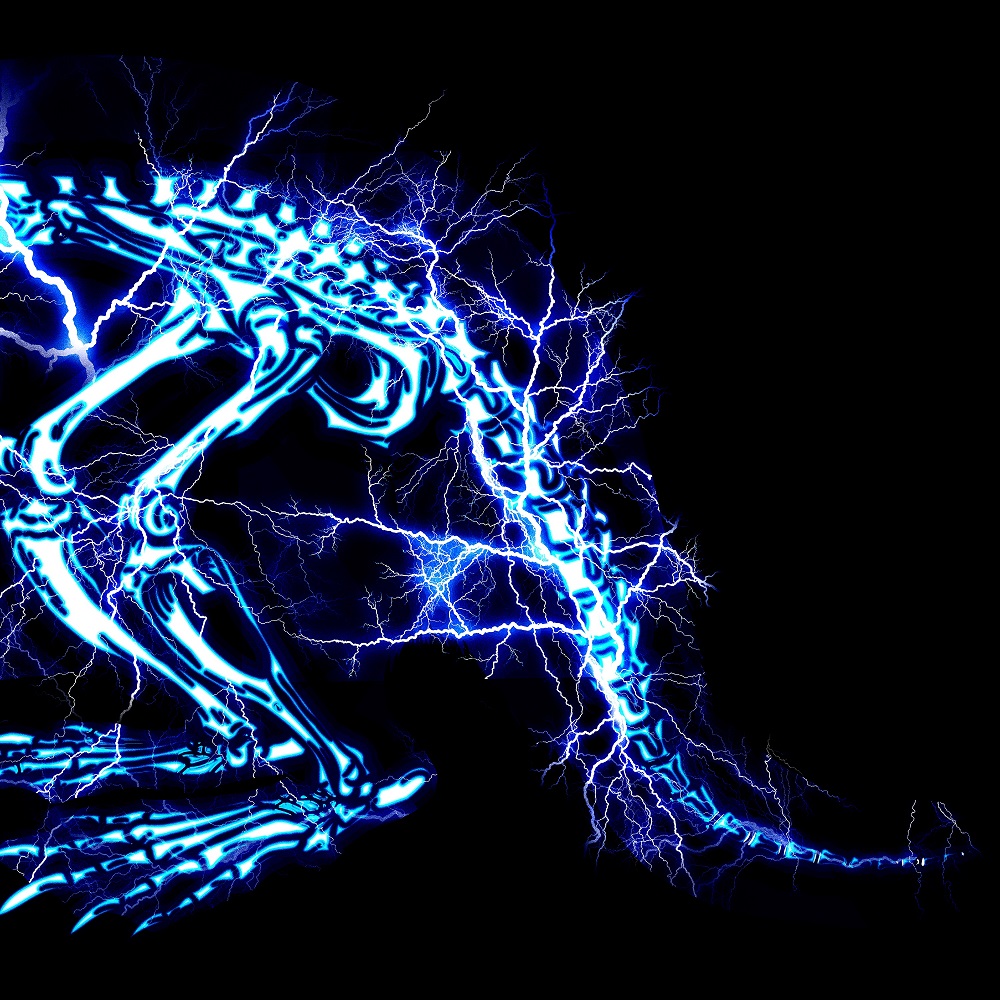 儚くない｜SUPER BEAVER OFFICIAL SITE｜SUPER BEAVER 友の会