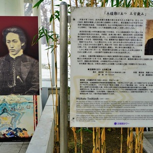 square.JPG?1705311536