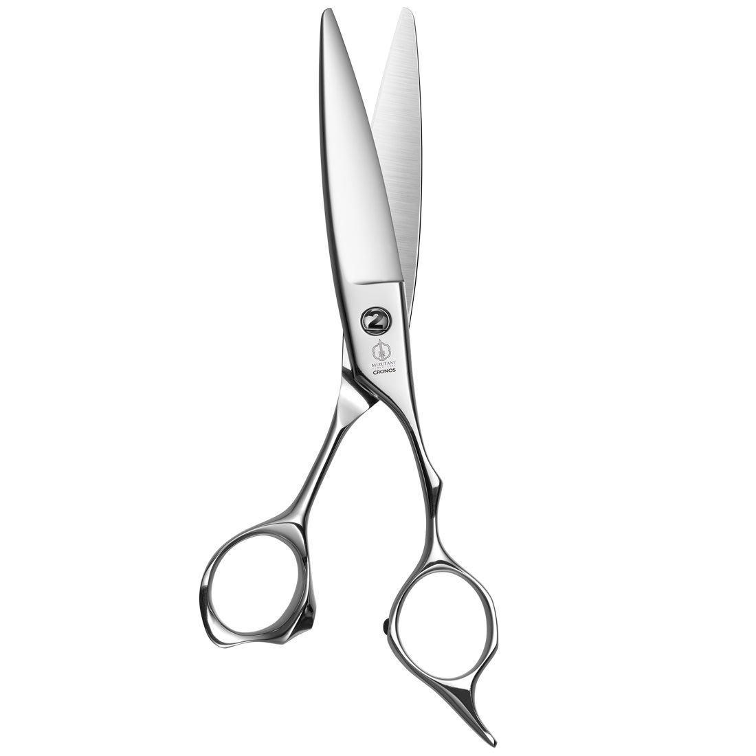 CRONOS ② | ミズタニシザーズ