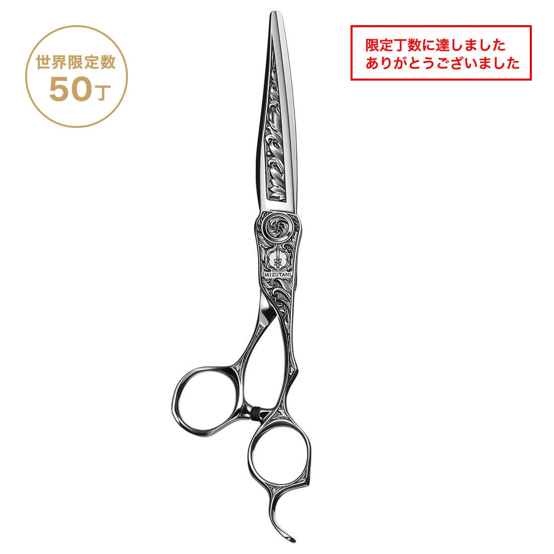 SWORD ENGRAVING MODEL | ミズタニシザーズ