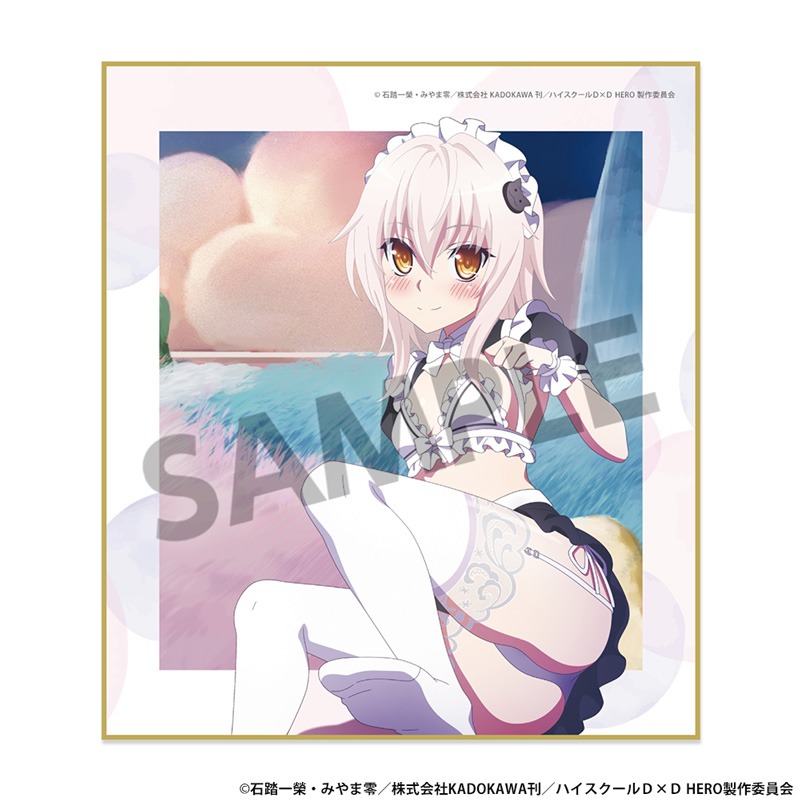 ハイスクールD×D HERO 描き下ろしミニ色紙 塔城小猫 セクシーメイド