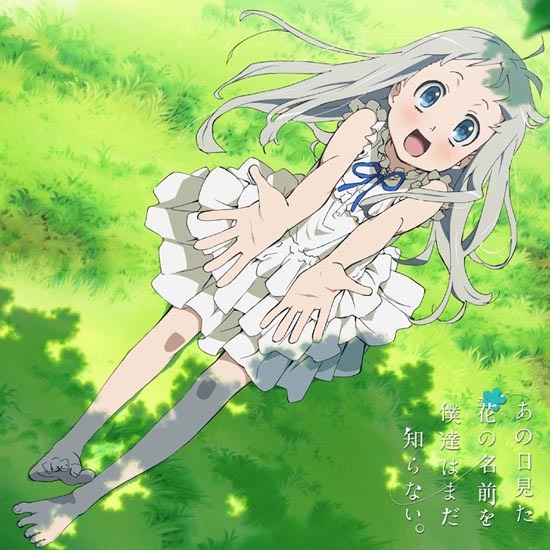 あの日見た花の名前を僕達はまだ知らない。 もふもふミニタオル めんま