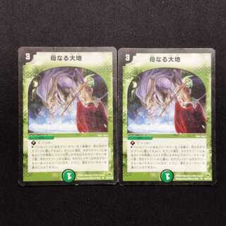 母なる大地」の激安通販 | magi