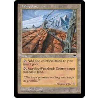 MTG 初版 テンペスト 不毛の大地 日本語 4枚セット MTG 【不毛の大地