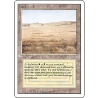MTG(デュアルランド)のカード販売・通販 | magi