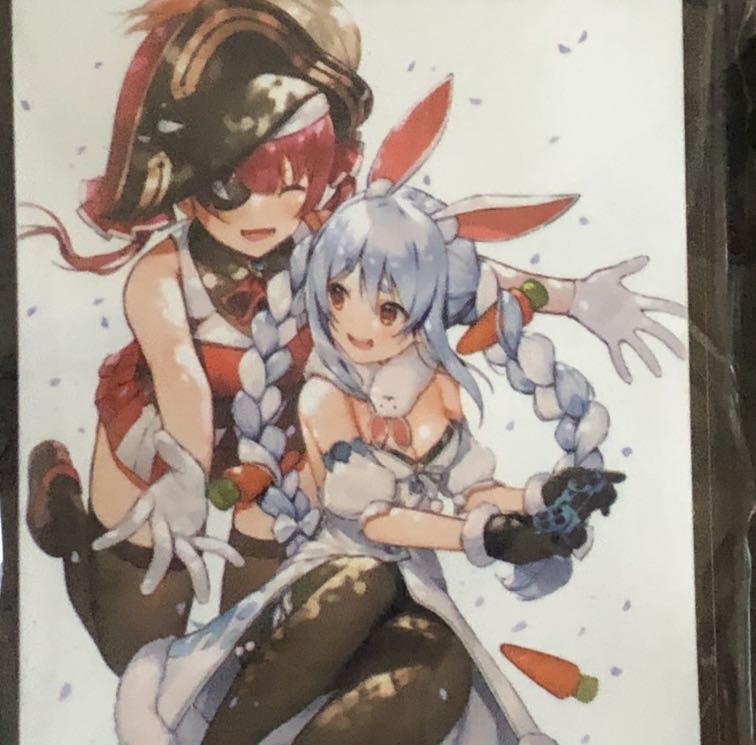 ミッドナイトブルー マリン ぺこら スリーブ ぺこまり (Used