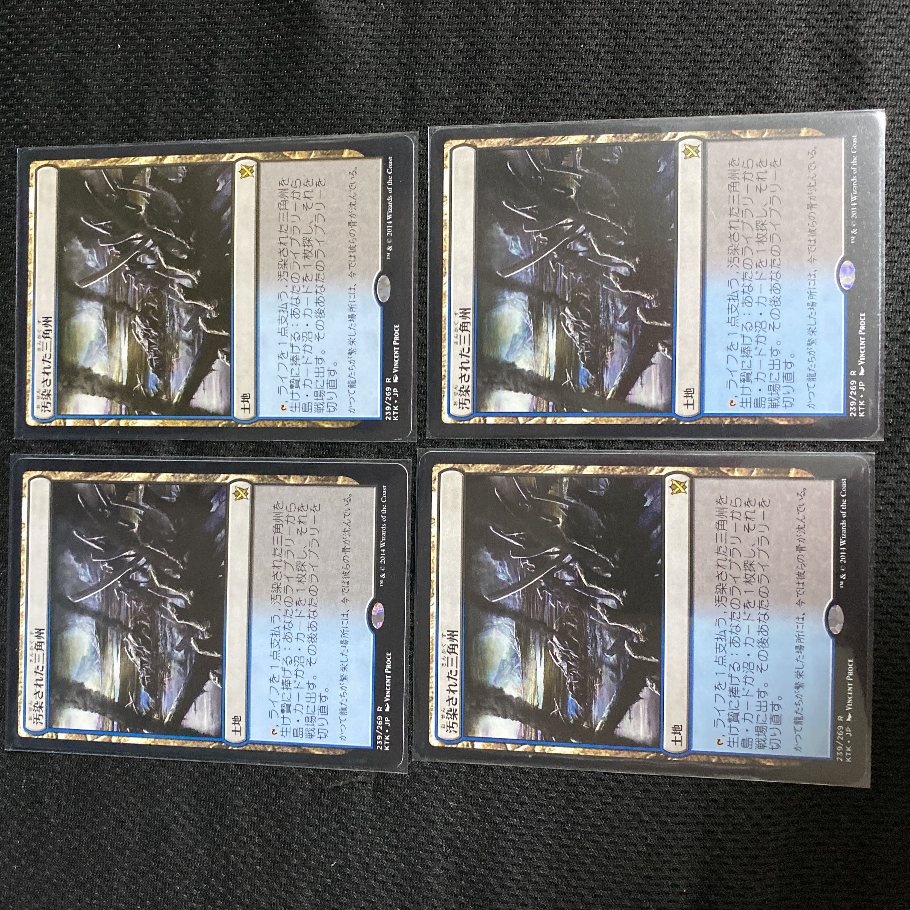 汚染された三角州/Polluted Delta 4枚 汚染された三角州 Polluted