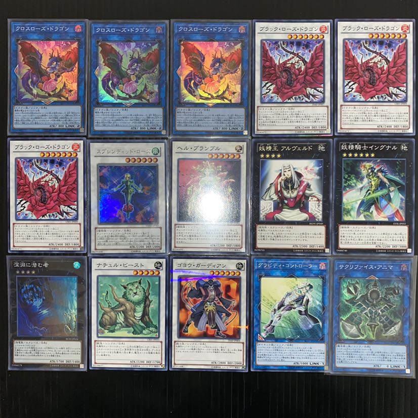 ローズドラゴンデッキ ガチ構築 遊戯王 No.44 1枚の通販 pareruya