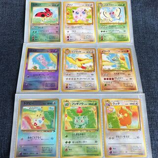 tropical island」の激安通販 | magi