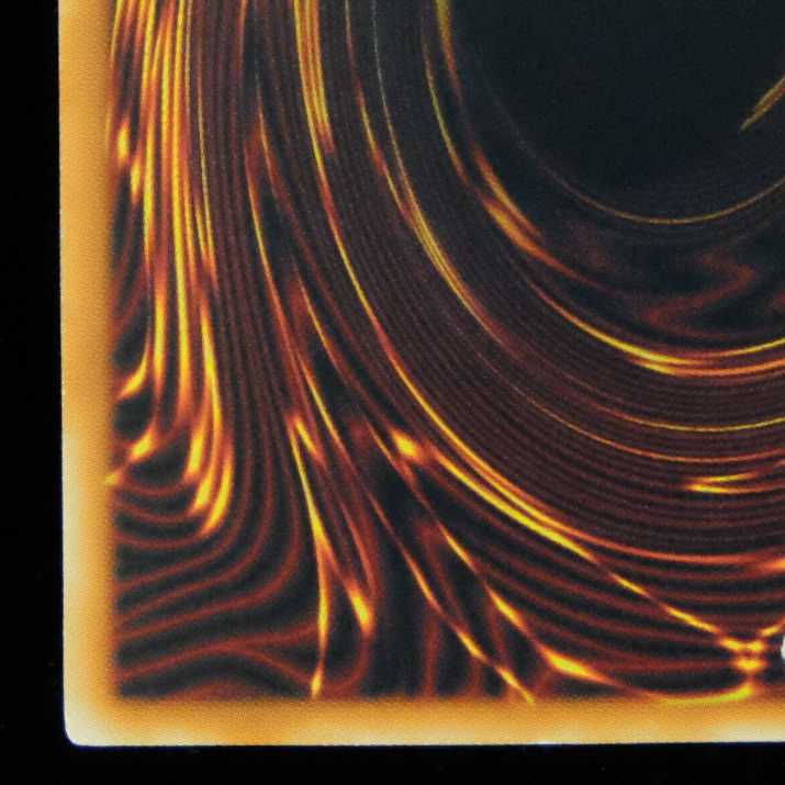 遊戯王 ブラック・ローズ・ドラゴン ホログラフィックレア 1枚の通販