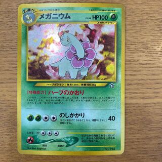 ポケモンカード 旧裏 メガニウム PSA10 ポケカ MEGANIUM ポケモン