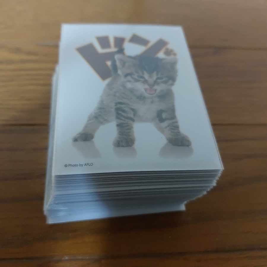 デュエマ ランデスデッキ 1枚の通販 タッシー（865468477） | magi