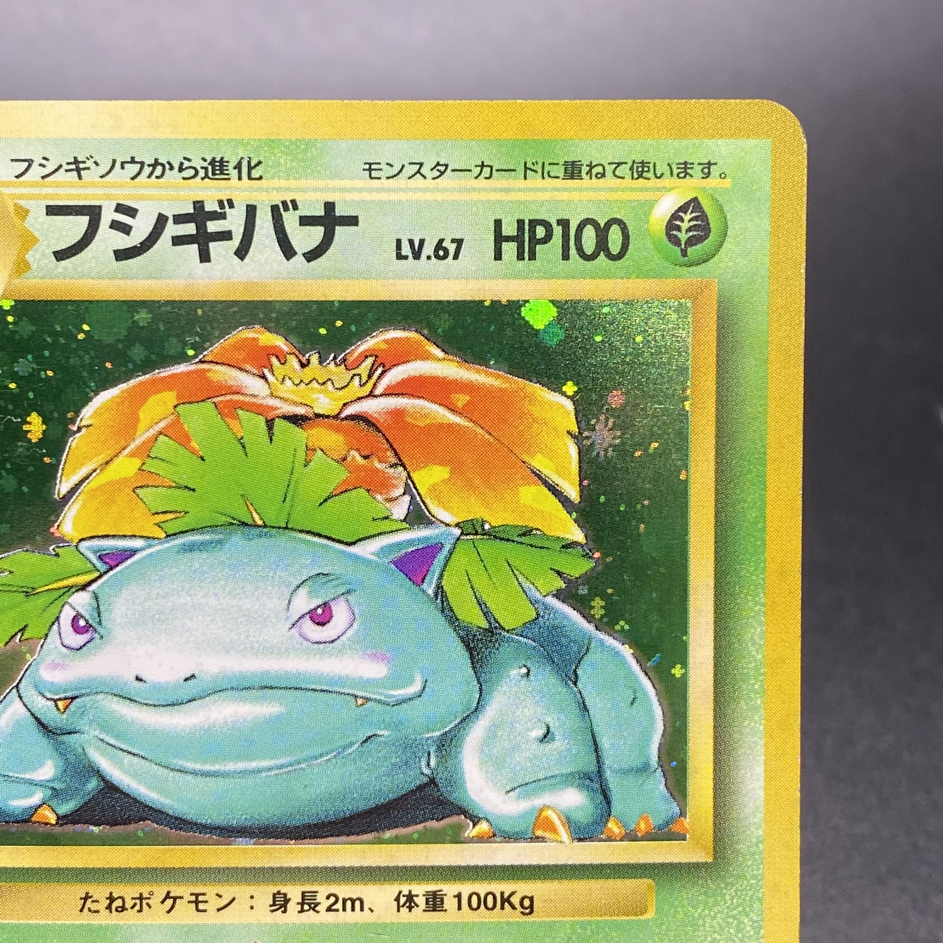 フシギバナ 旧裏 初版 マーク無し 1枚の通販 土日祝休 magi公式(委託