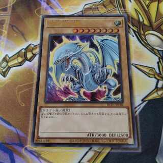 青眼の白龍 海馬」の激安通販 | magi