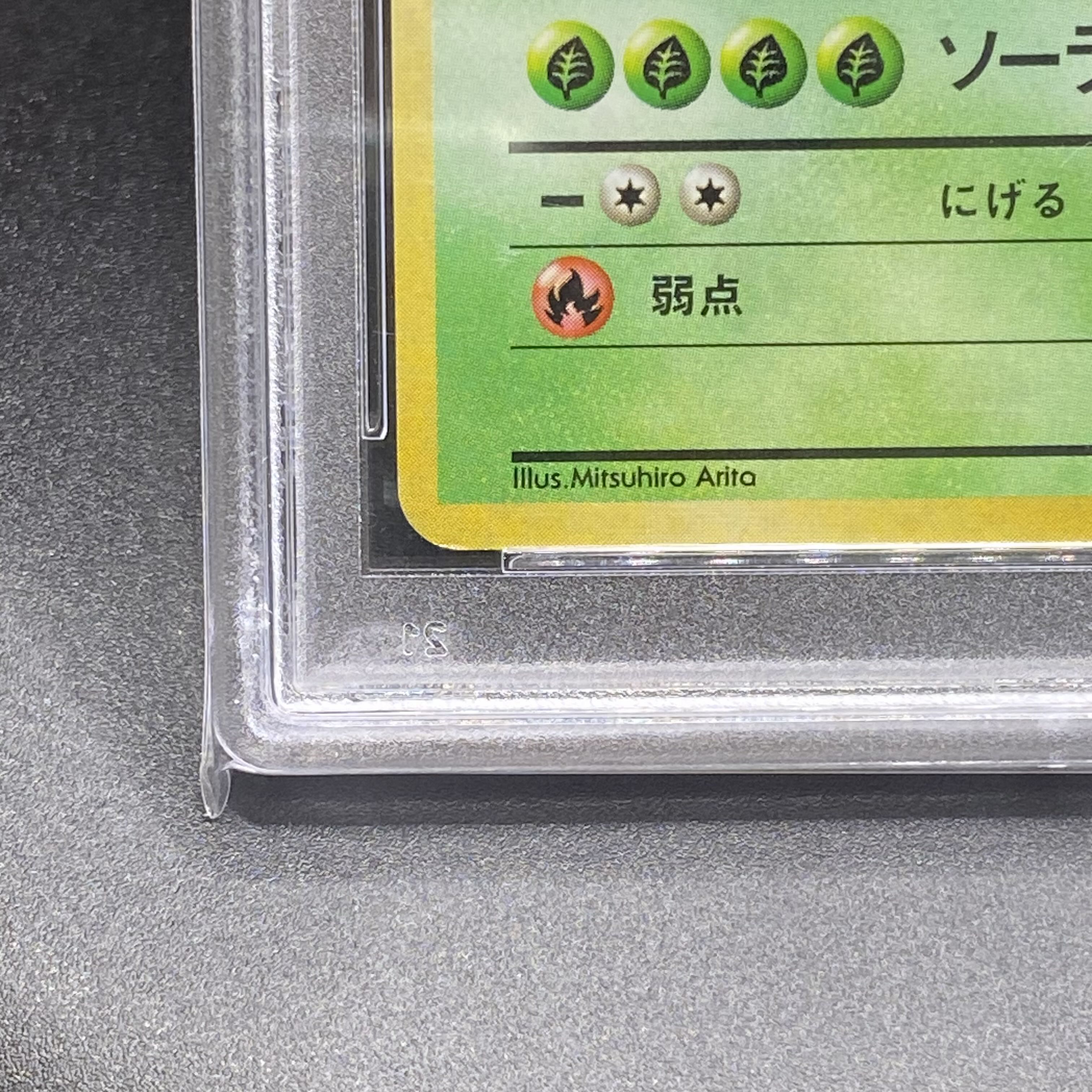 PSA8】フシギバナ 旧裏 初版 マークなし 1枚の通販 土日祝休 magi公式