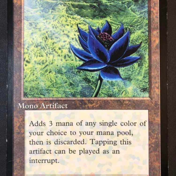 大判カード Black Lotus ブラックロータス scrye MTG 1枚 1枚の通販