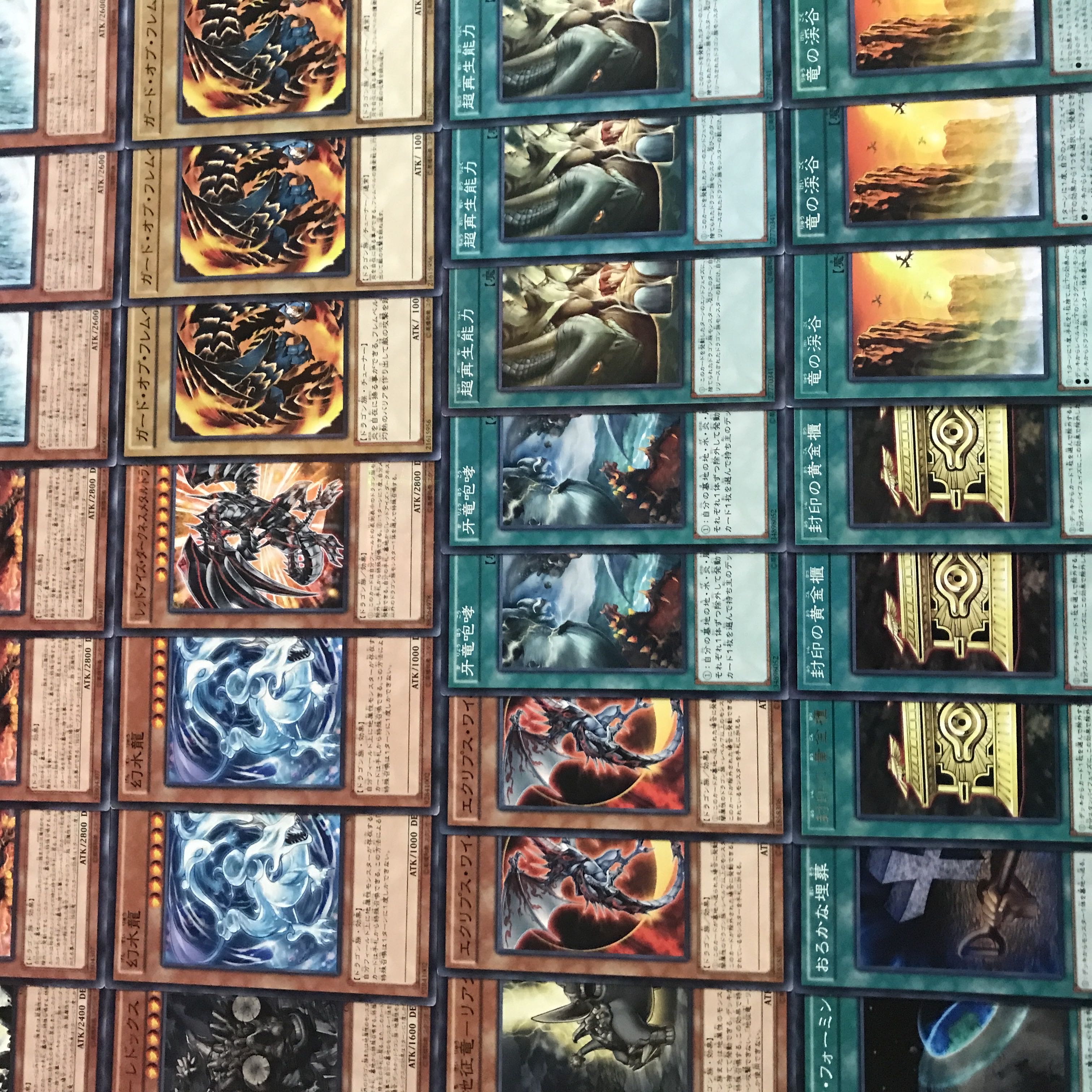 遊戯王【全盛期構築！！】征竜デッキ40枚 1枚の通販 メデューサの