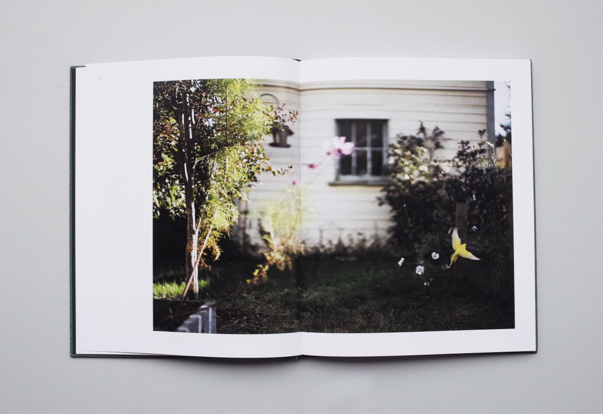 Vol.45 まるで白昼夢のような、小さな庭の世界を写したテリ・ワイ