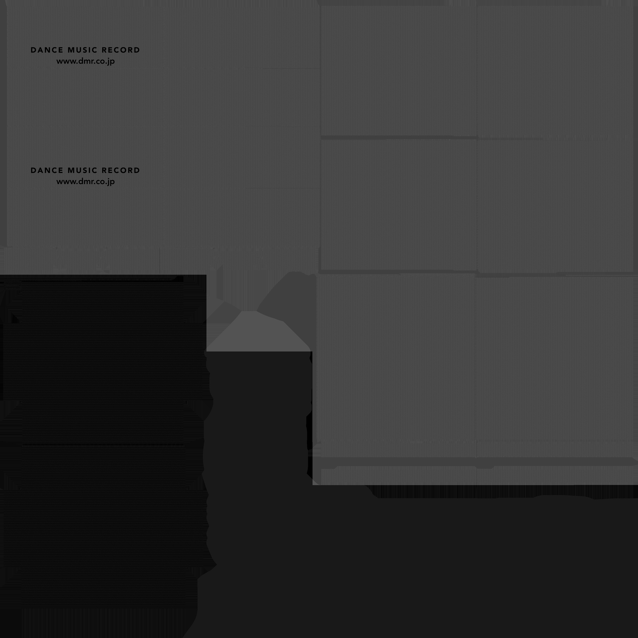 オリジナル製品 DMR RECORD CONTAINER – 株式会社DMR