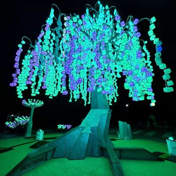 ENTWINED LIGHTED FOREST - Updated February 2026 - 236 Photos & 33