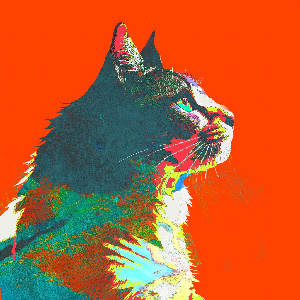 毎日」配信＆ジャケット公開 | 米津玄師 official site「REISSUE RECORDS」