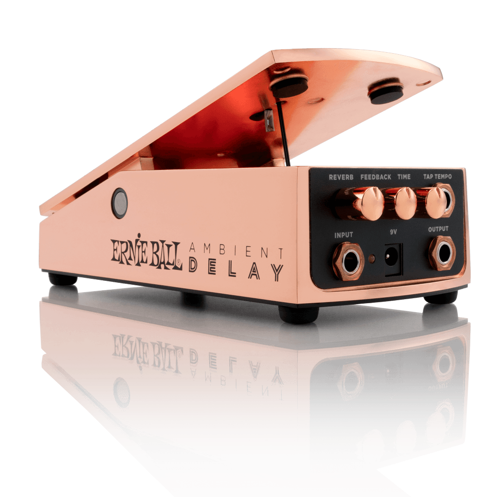 Ambient Delay | Ernie Ball