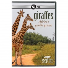 Giraffes: Africa's Gentle Giants | SLJ DVD Review | School Library
