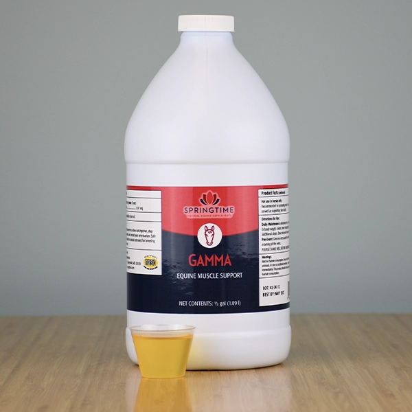 ReplenishMINT Powder for Horses | Electrolyte | Springtime