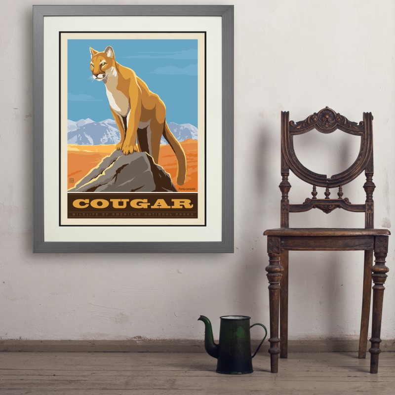 National Parks Wildlife: Cougar | Anderson Design Group
