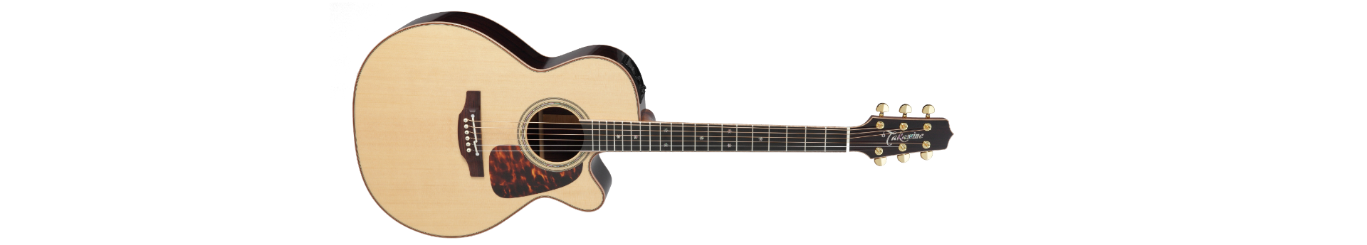 Takamine Guitars :: product-details